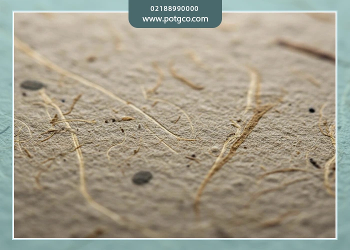 تفاوت کاغذ کاهی با کاغذ معمولی